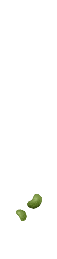 和食